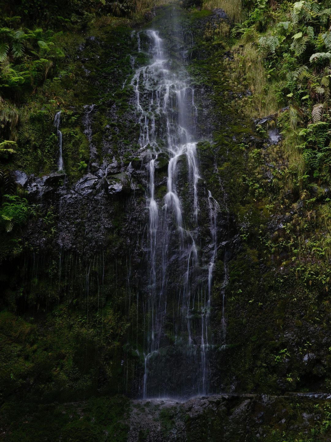 Auf Dschungelpfaden zum Wasserfall – Der PR 9 zum Caldeirão Verde